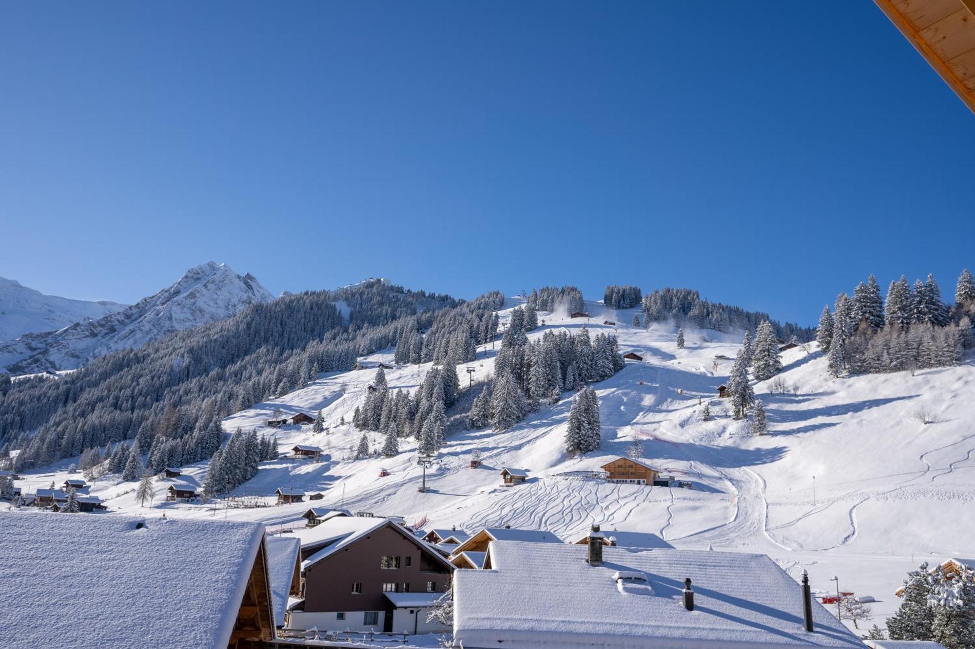 Chuenislodge2- Zwei Balkone, Gemuetlicher Kamin, Top Aussicht Adelboden Exteriér fotografie